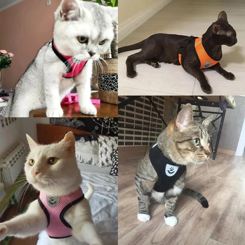 Cat Harness Vest Walking Lead Leash For Puppy Dogs Collar Polyester Adjustable Mesh Dog Harness For Small Medium Pet Accessories